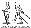 Asociación Mexicana de Caminata Nórdica | Spofitec